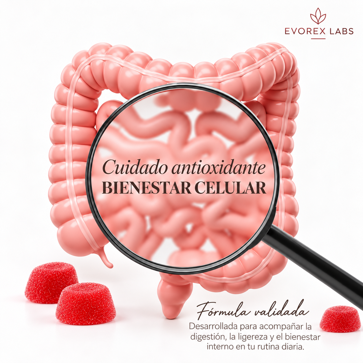 Gummies Vinagre de Manzana | +65 Unidades
